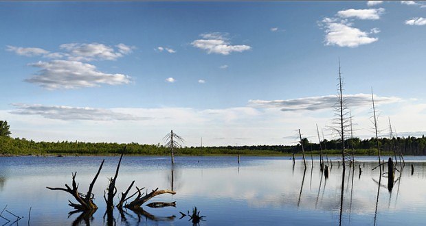 Аномалия чистой воды