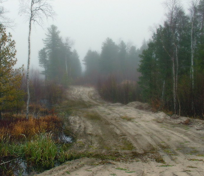 Блудное место
