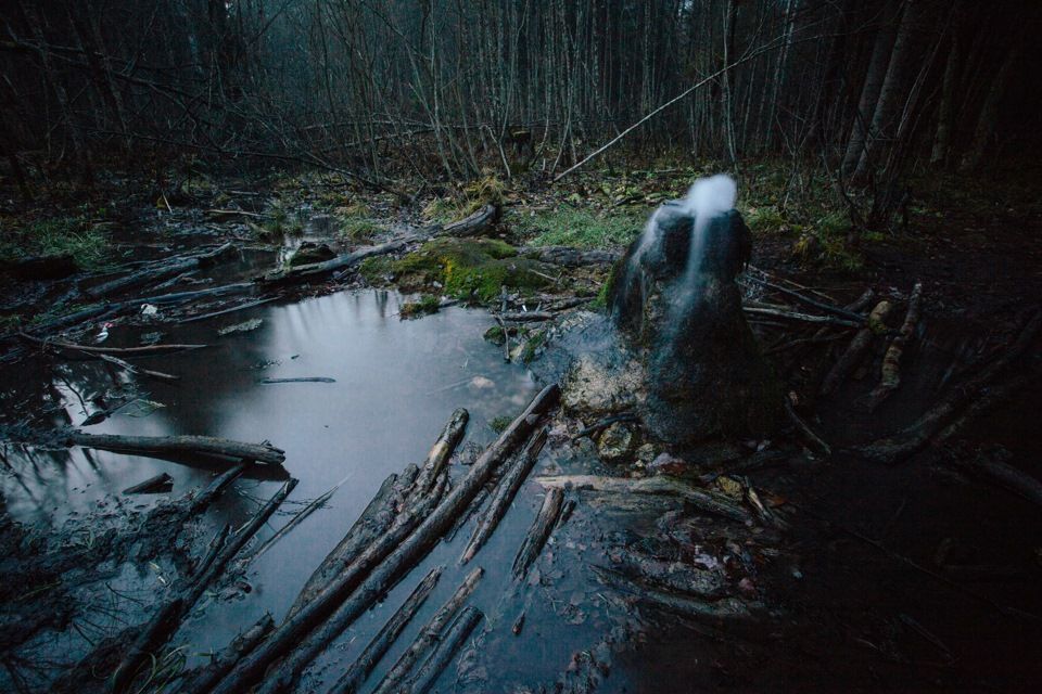 Болото