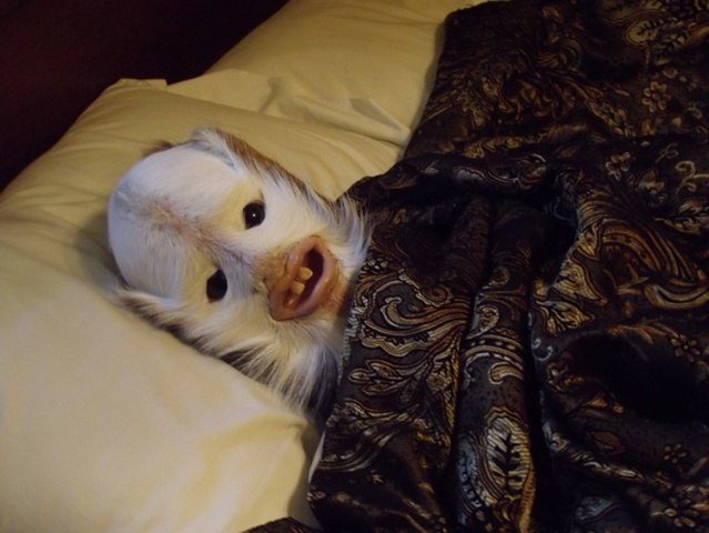 Чертовщина