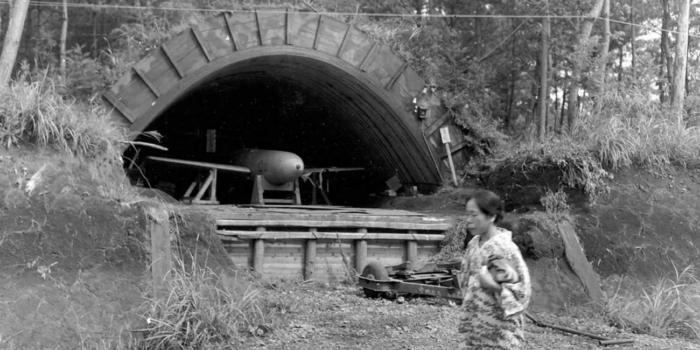 «День Икс»: несостоявшаяся война 1946 года