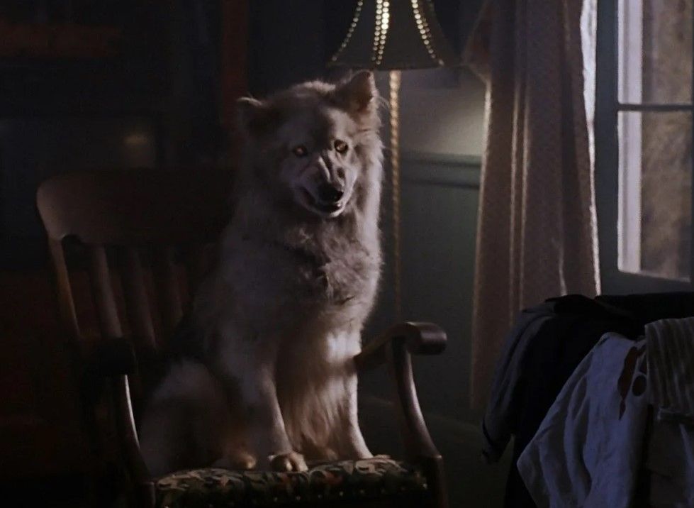 Кладбище домашних животных 2 (Pet Sematary II, 1992)