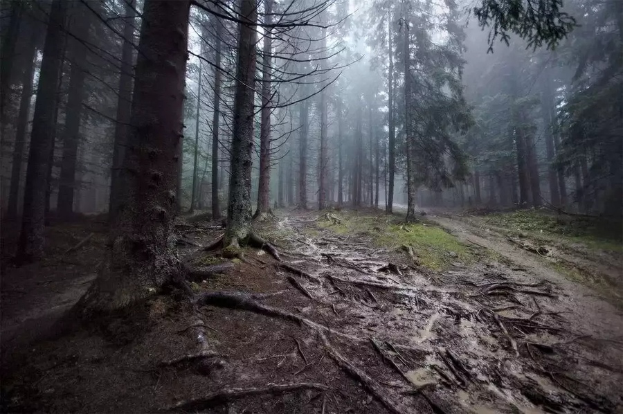 Конкуренты