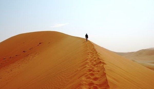 Мифы о том, как вести себя в смертельной опасности