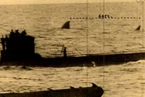 Монстры морских глубин
