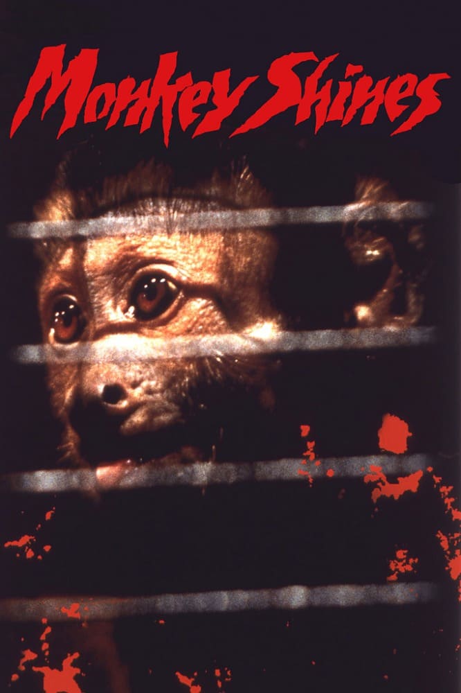 Обезьяна-убийца (Monkey Shines, 1988)