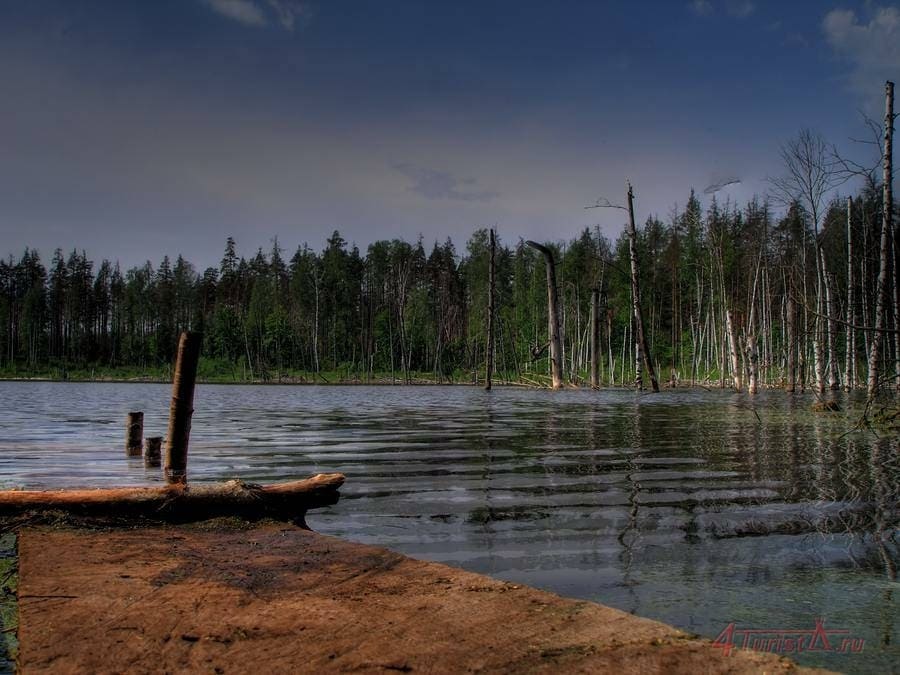 Озёрская аномальная зона. Блудные места подмосковья
