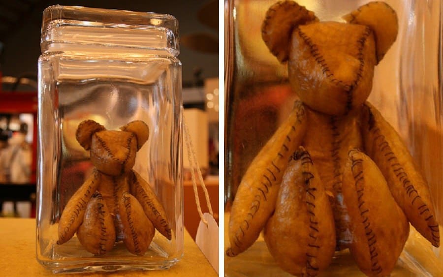 Placenta Teddy Bear — медвежонок, сделанный из плаценты