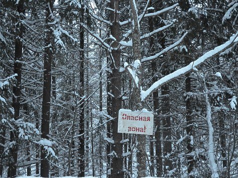 Поход в лес нижегородского севера в поисках аномалий