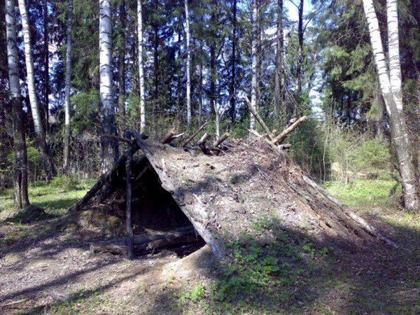 Шалаш в лесу