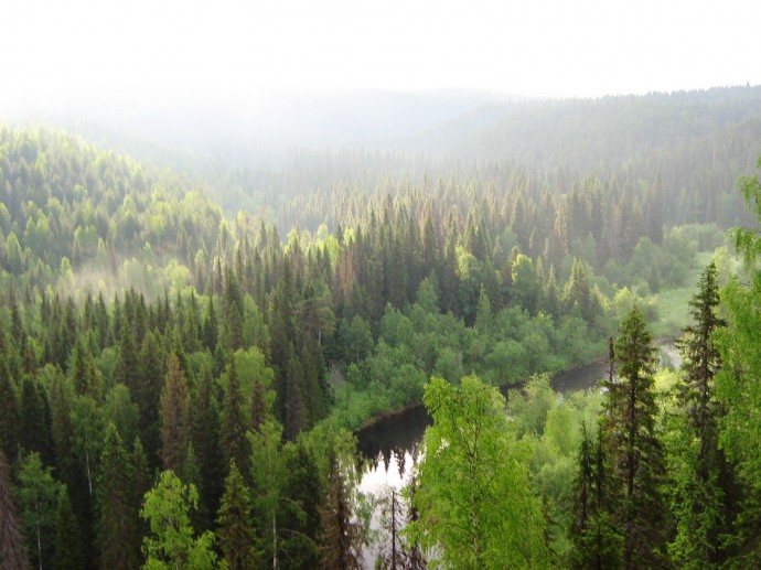 Таёжная погибель