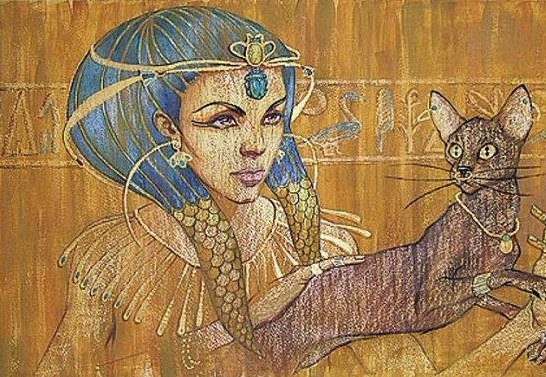 Тайная сила кошек: правда или вымысел