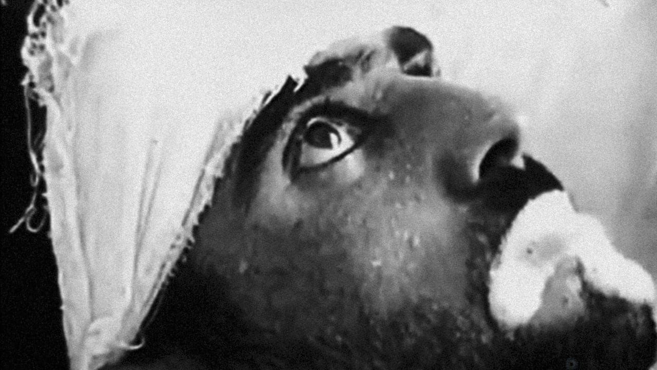 Ужасающая реальность возможности заражения бешенством