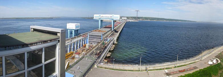 В Саратовском водохранилище обнаружили огромное количество рыб-мутантов