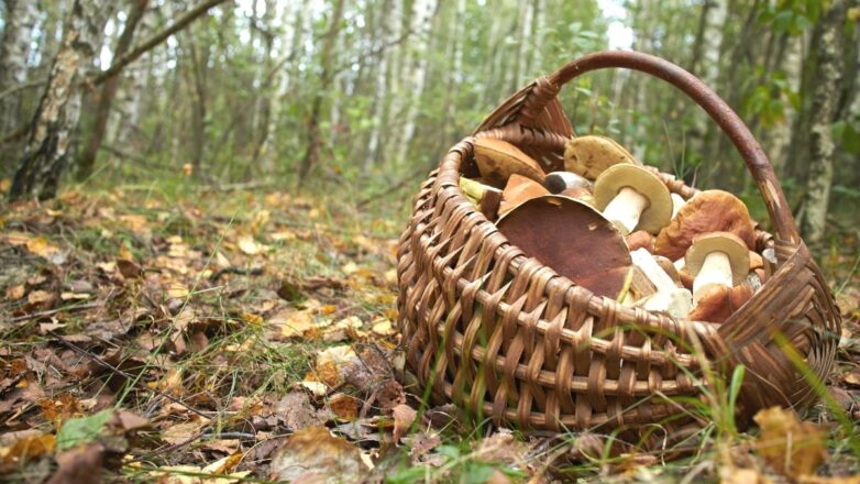 В високосный…